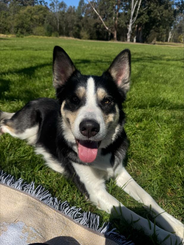Ivar settled in the park